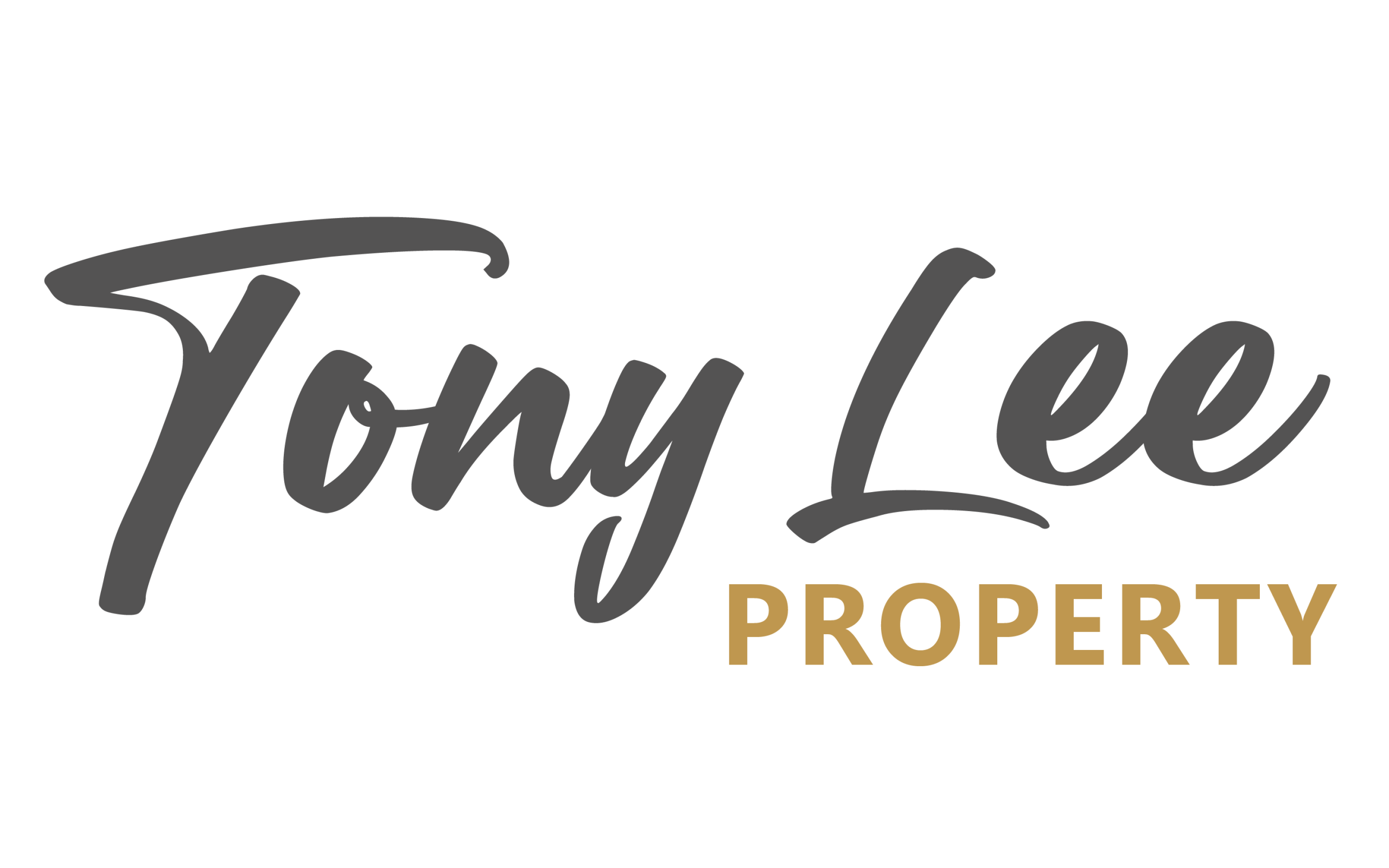 Tony Lee Property