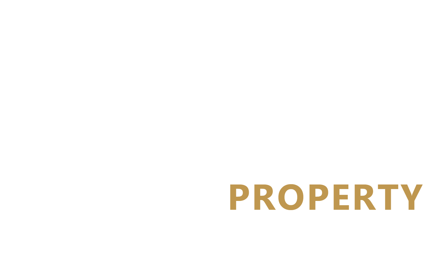 Tony Lee Property