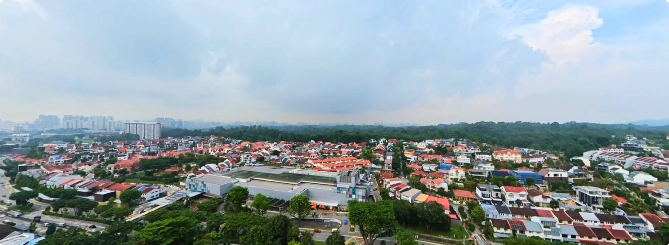 North view — Central Catchment greenery