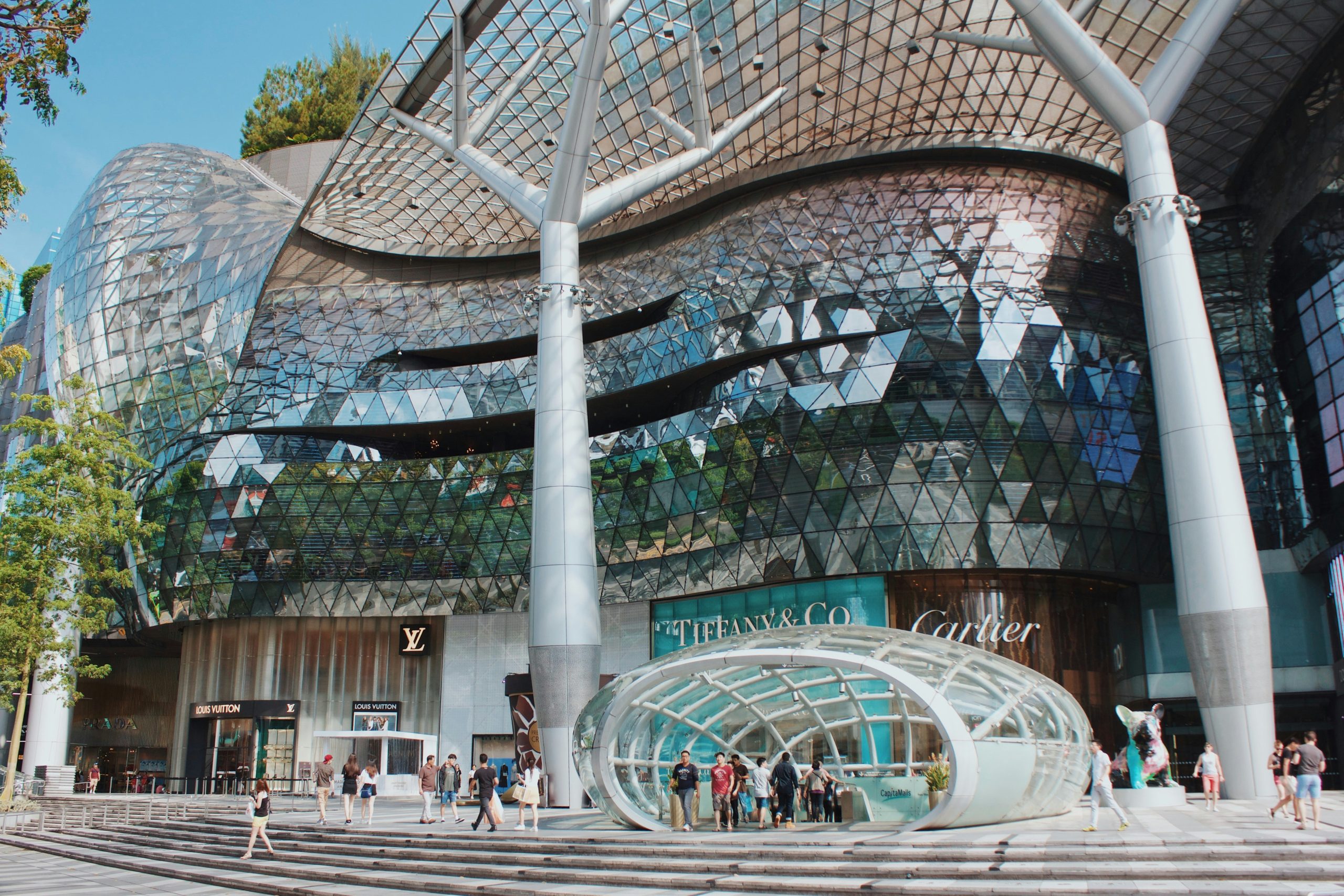 The Pulse of the City: Orchard & CBD